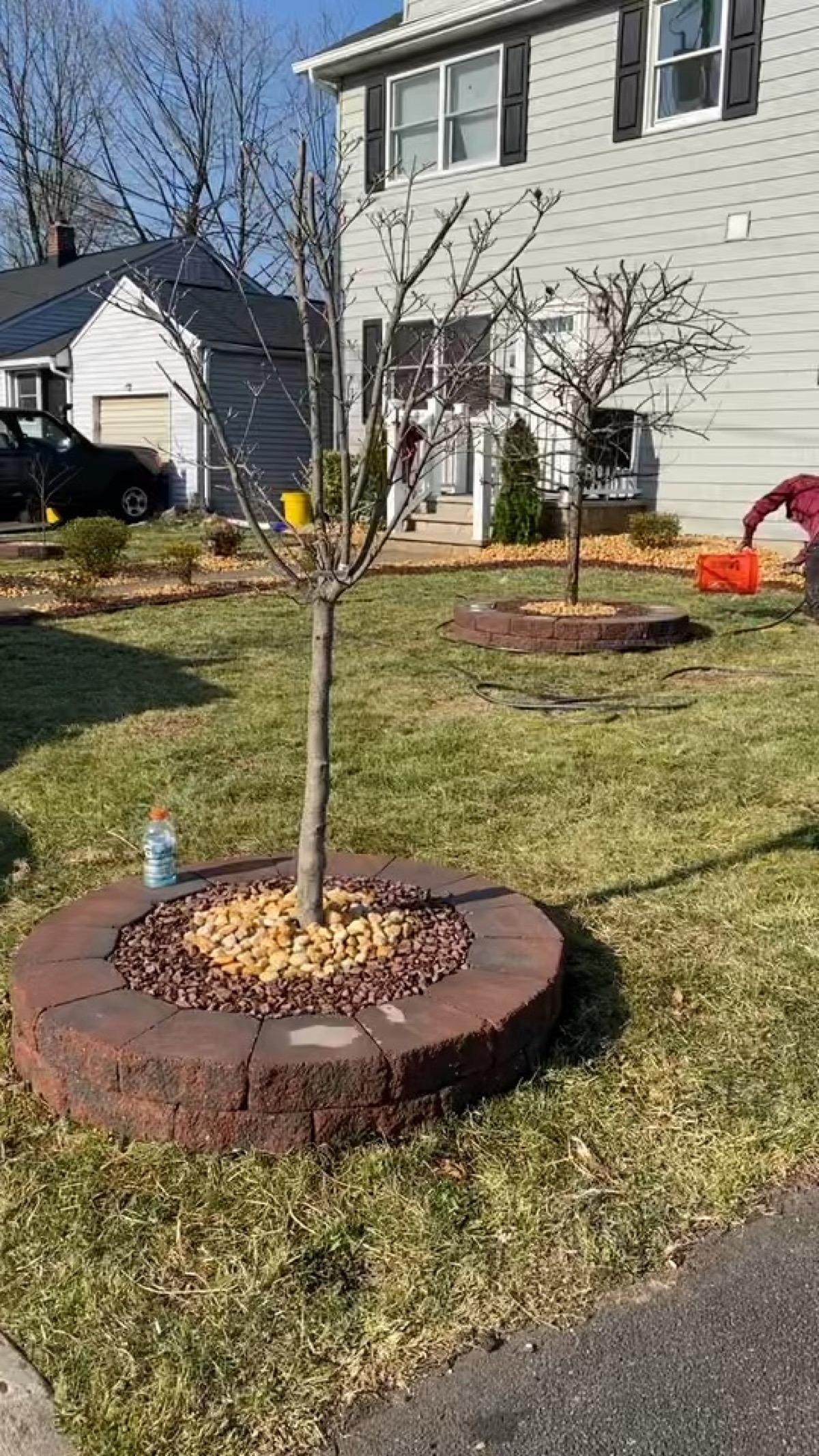 Complete Backyard Makeover
